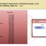 Siddharth University Result 2023 OUT