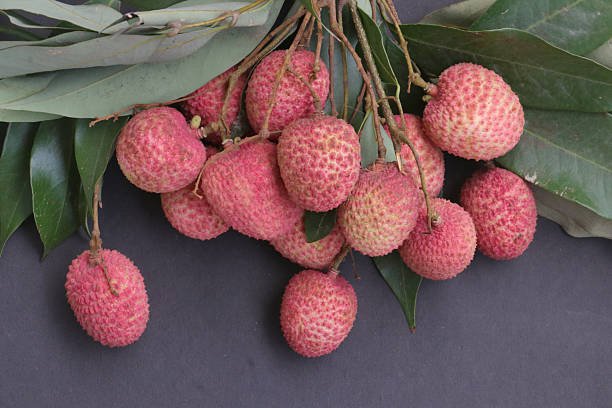Bihar largest producer lychee litchi India Muzaffarpur Shahi Litchi GI tag