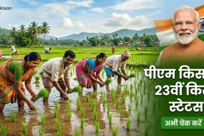 Pm Kisan 23rd Installment Date 2026 Status check